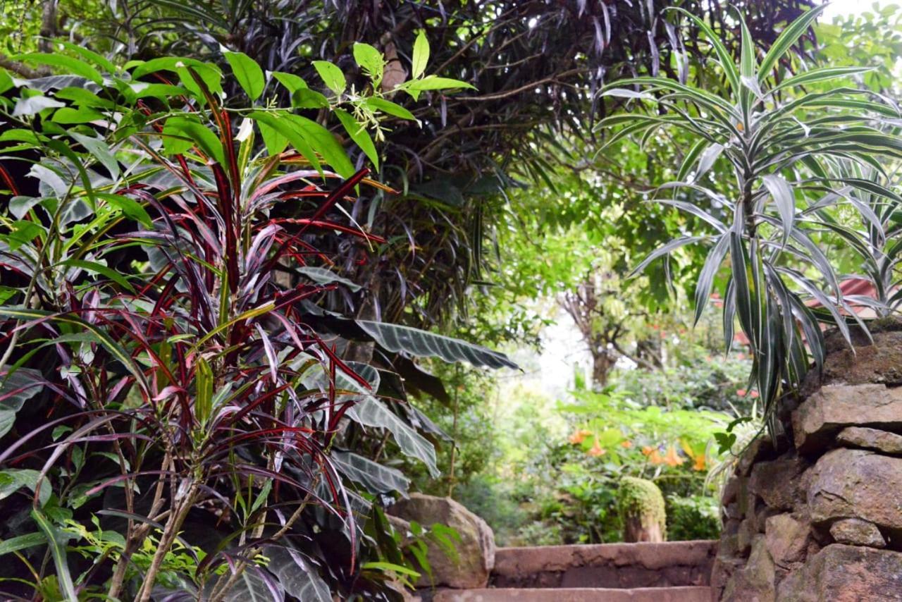 Eco Village Procida Dış mekan fotoğraf