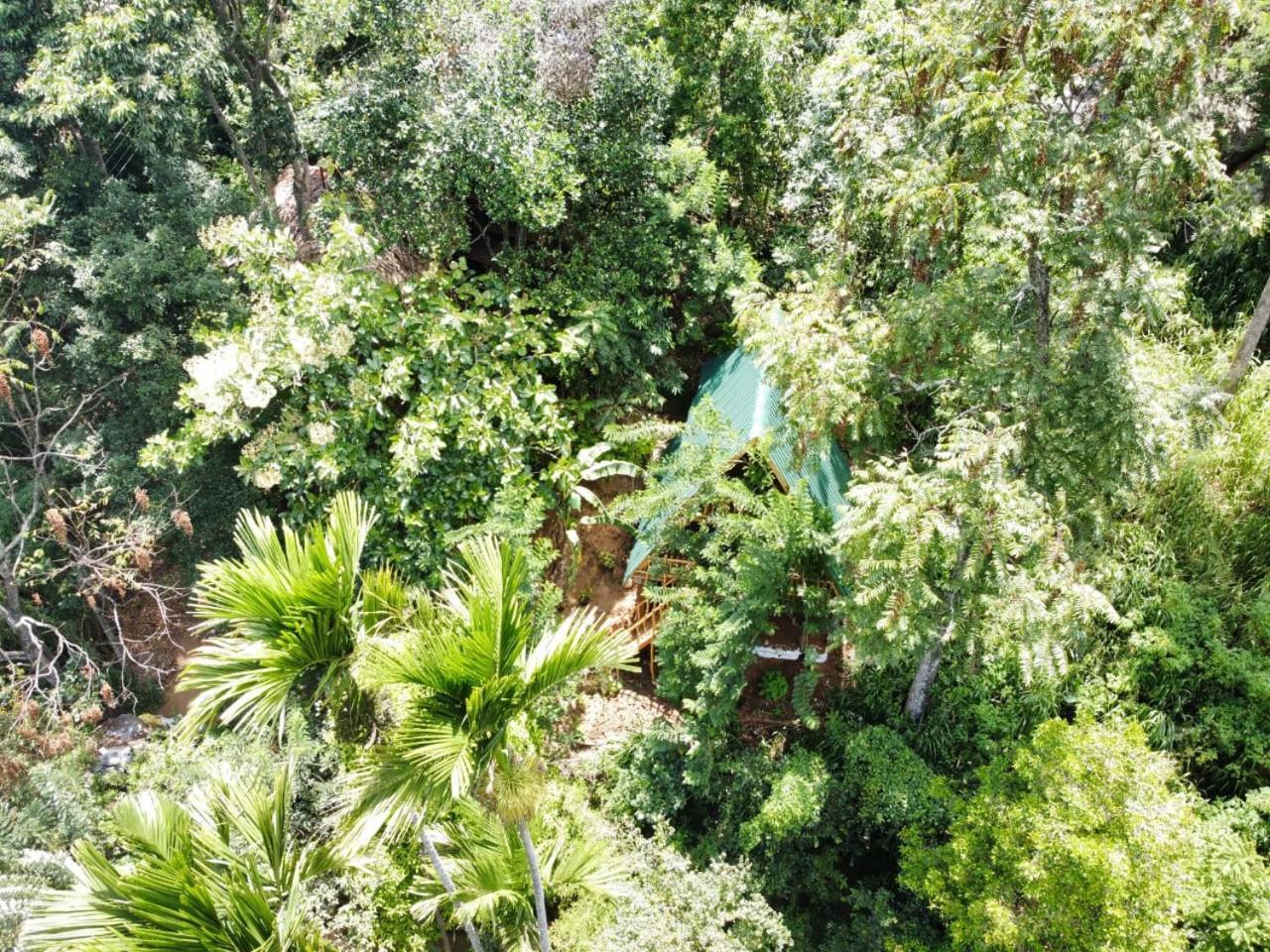 Eco Village Procida Dış mekan fotoğraf