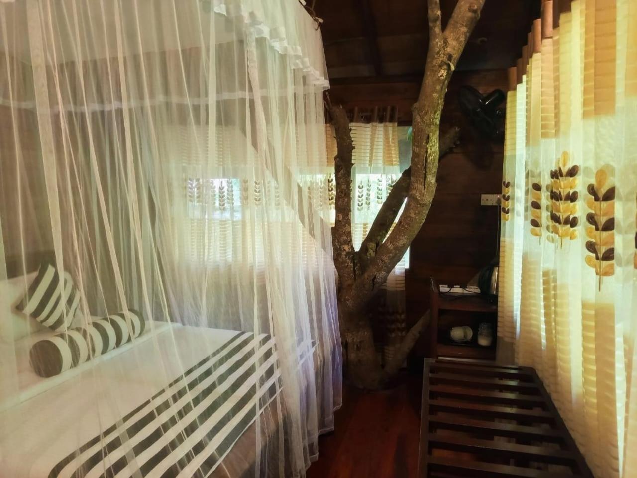 Eco Village Procida Dış mekan fotoğraf